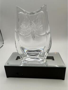 Daum France Crystal Owl Sculpture Signed Frosted Art Glass Paperweight